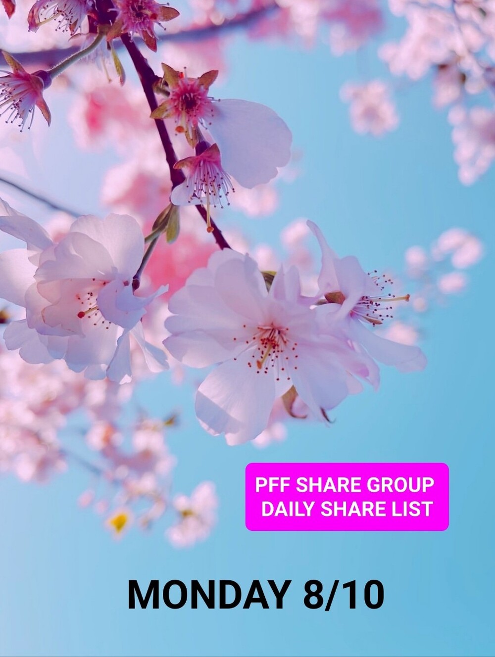 Aug 10  👠👗 PFF SHARE GROUP🛍👗💍